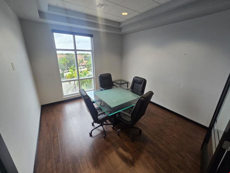 Professional Office