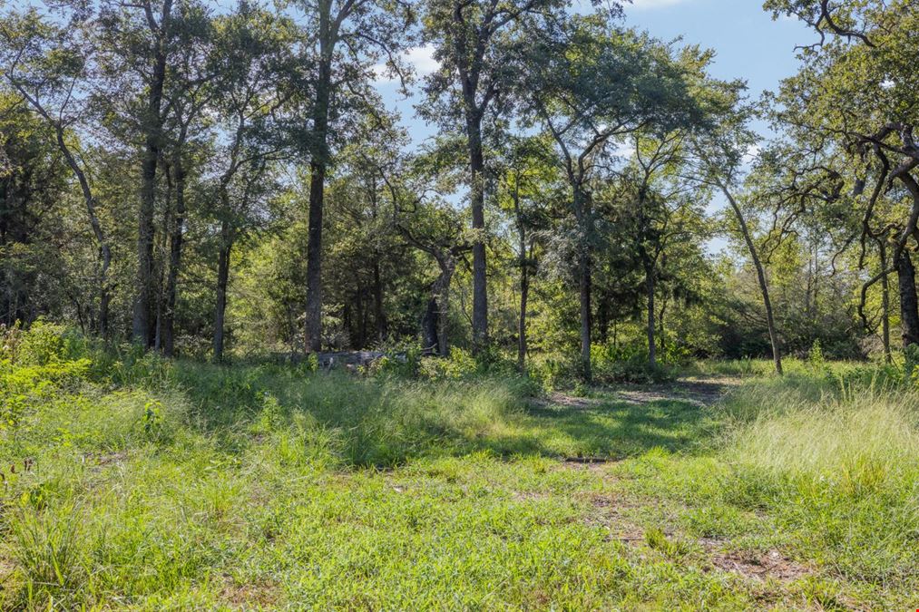 16135 Wilson Pasture Road