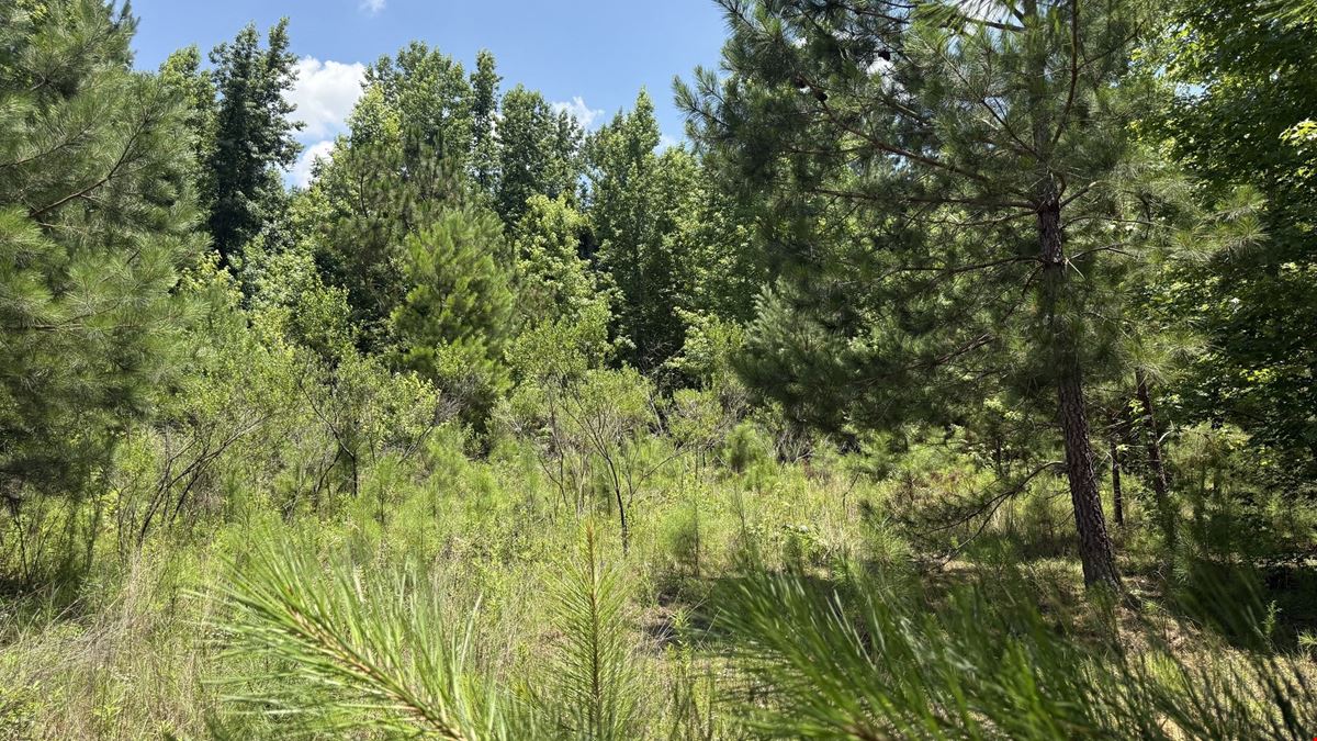 42.02 Acres | Residential Development Opportunity in Dothan, AL