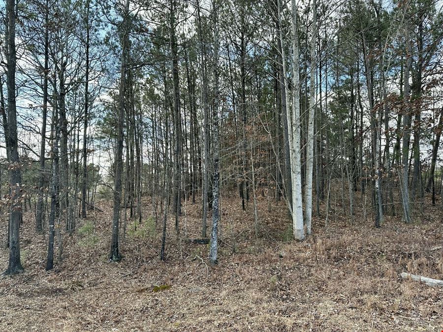 0.82 Acres Timber Ridge