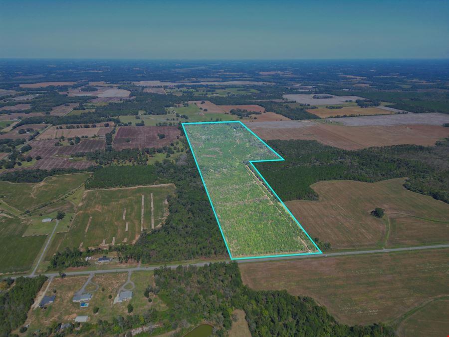 101± Acre Timber Investment with Slash Pine, Hardwoods & Hunting Near Graceville