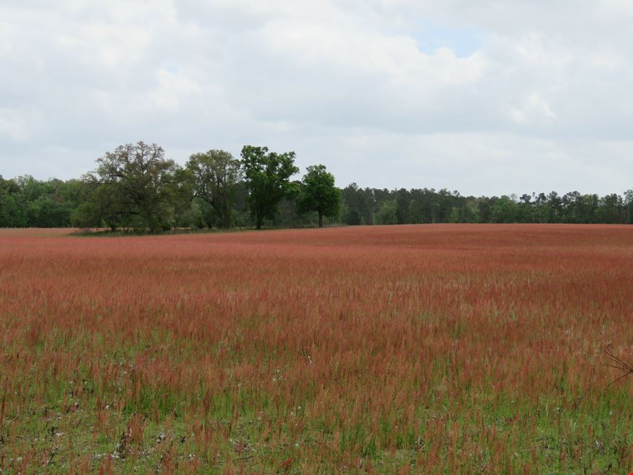 River View Farms