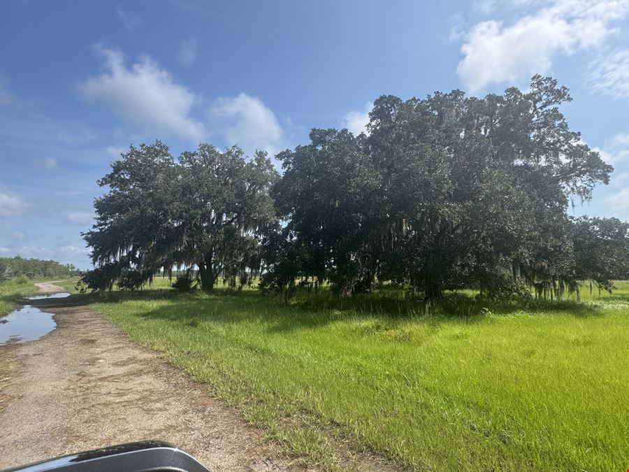 Osceola County Hunting & Recreational Tract