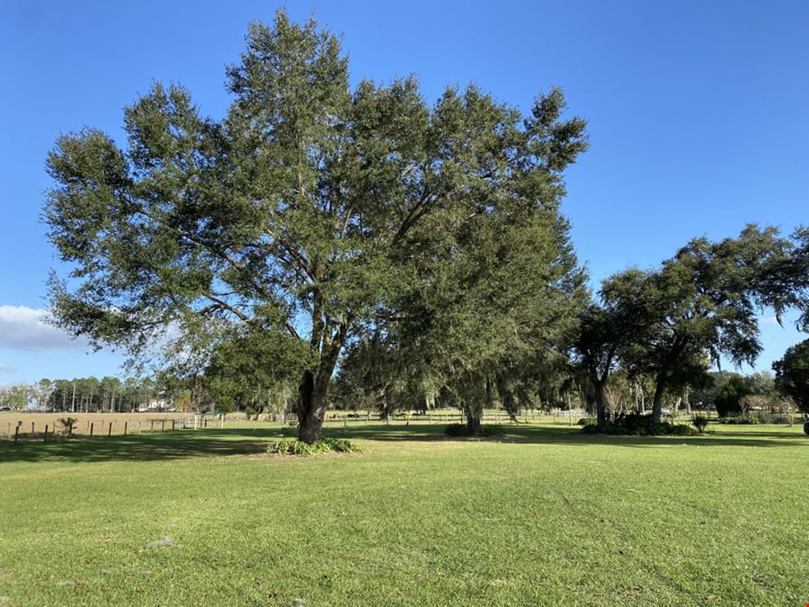 40 Acre Ranch Oxford, FL