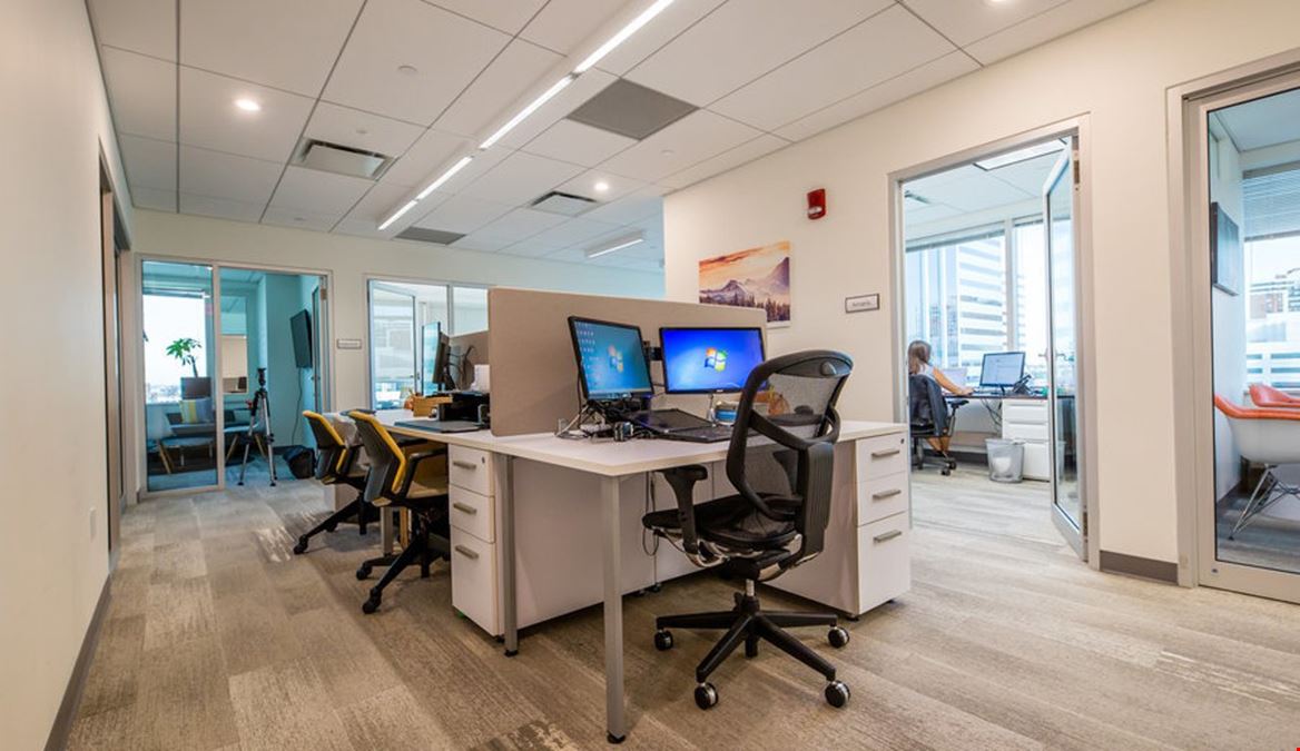 WorkSocial