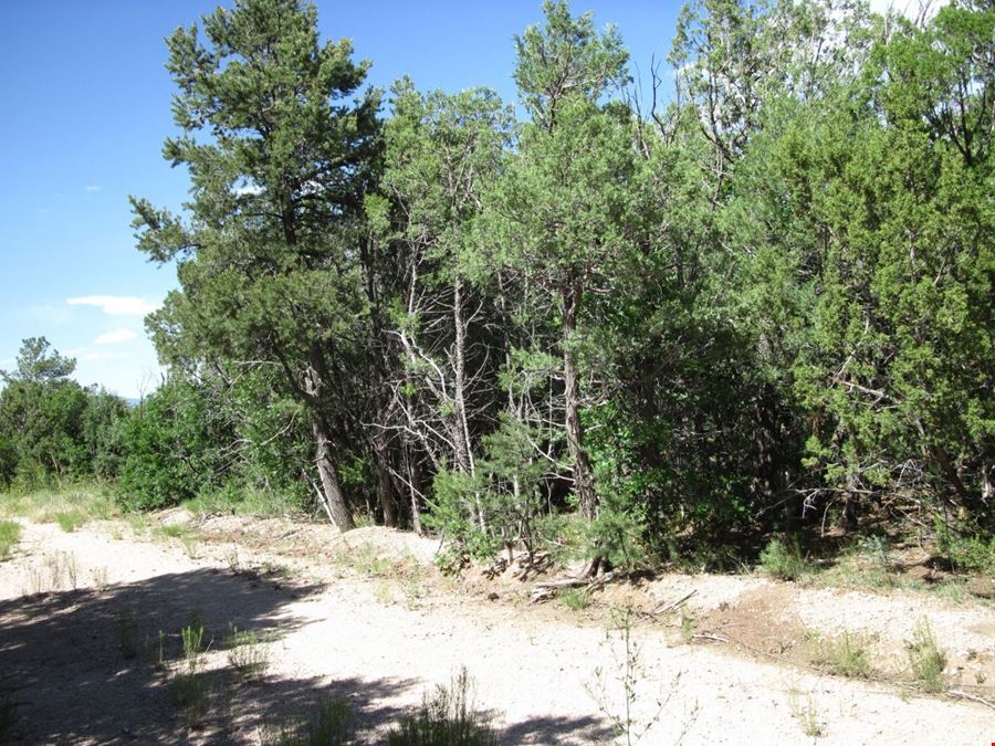 10433 State Highway 337