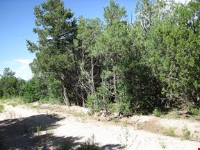 10433 State Highway 337