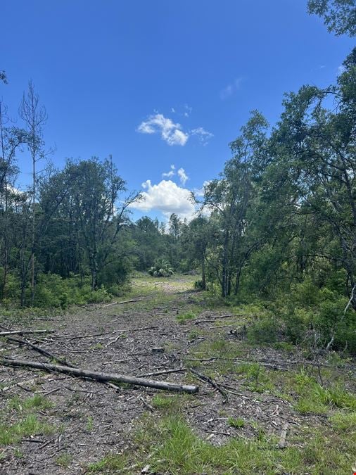 Citrus County 189 Acres