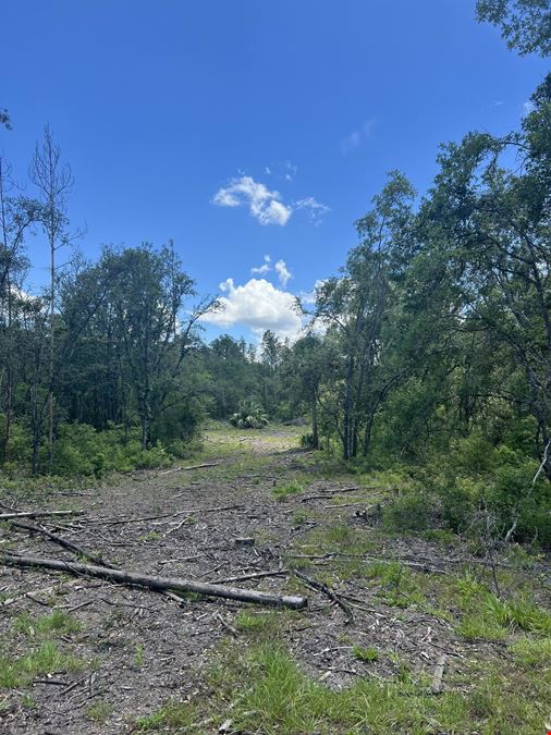 Citrus County 189 Acres