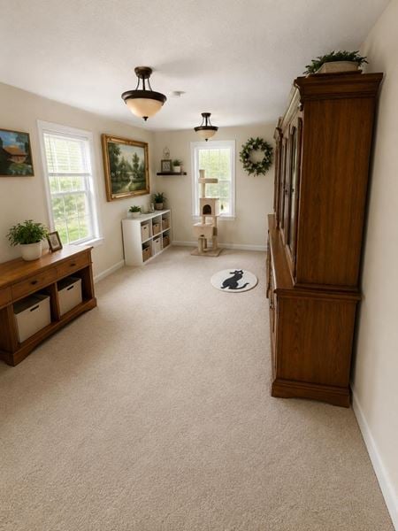 Preview of Other space for Sale at 711 Murray Drive