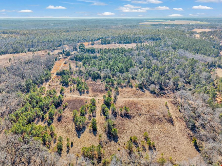 221 Acres | 3.14 Acre Pond | Hephzibah, GA