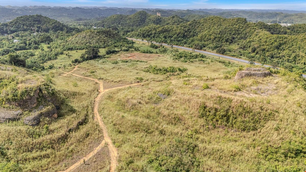 73 Developable Acres in Dorado - For Sale