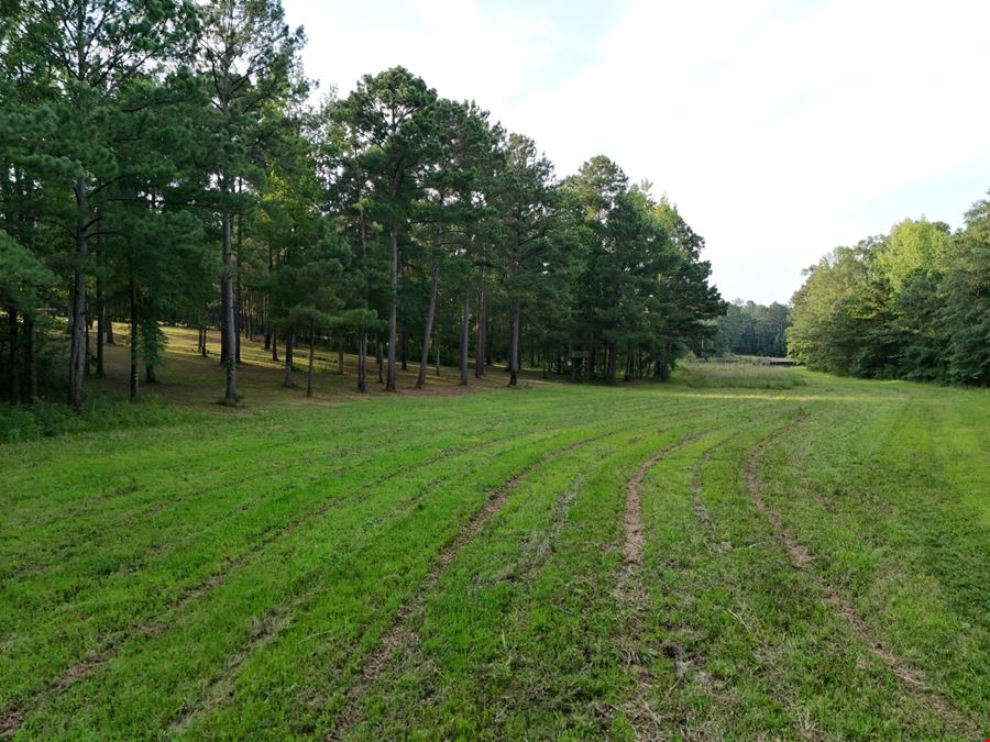 The Bull's Pen