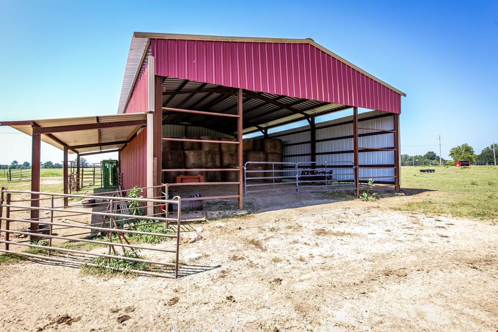 Hope Arkansas Chicken Farm