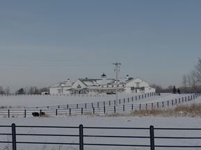 Black Iron Stables