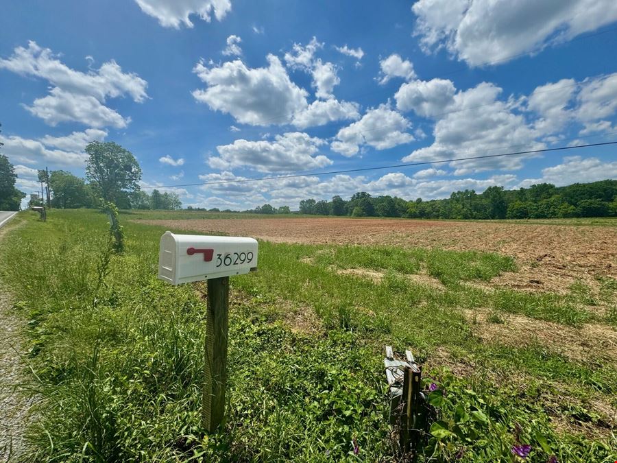 J&M Farm Land