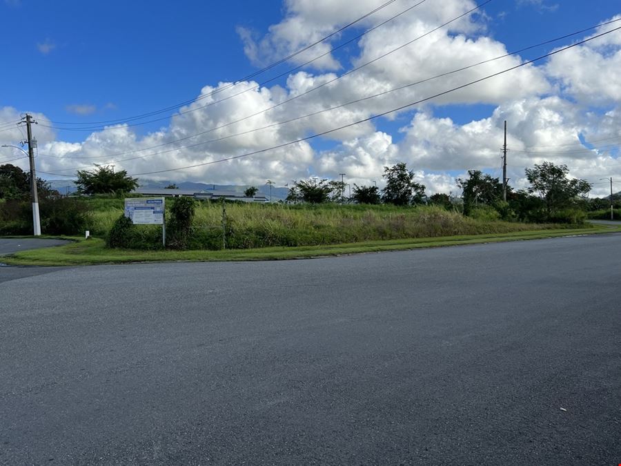 Las Piedras Industrial Park - Lots 1 & 2 - For Sale