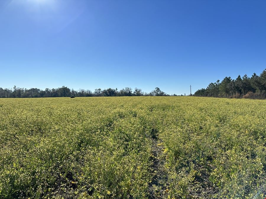 Jasper Farm and Recreation