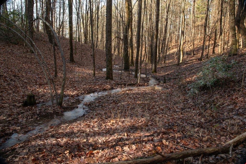 Smeltzer Mountain Road Tract One