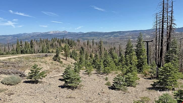 99981 Mormon Emigrant Trail