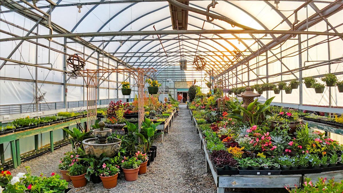 Walter's Greenhouse