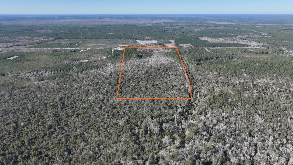 Clinch County 95 Acres Timber and Hunting Tract