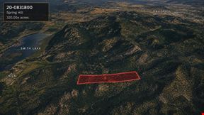 320.00± AC of Working Timberland in the Spring Hill Area