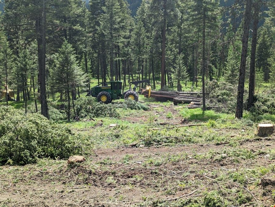 Johnson Creek Frontage: 1.5 Acre Residential Lot near Swan Lake, Montana