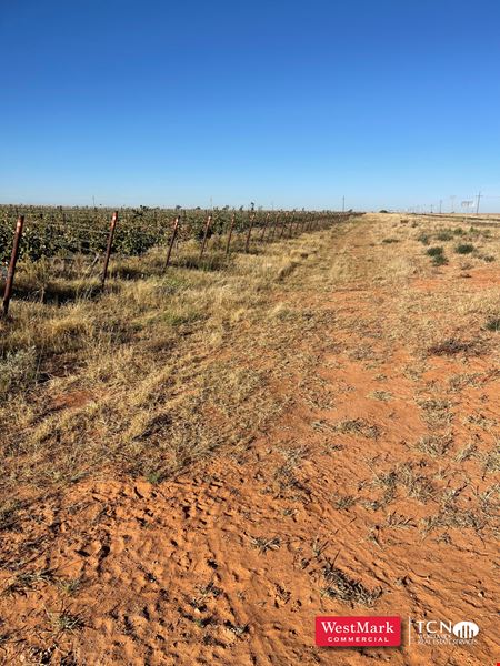 Preview of VacantLand space for Sale at 3561-3551 TX-114, Levelland, TX 79336