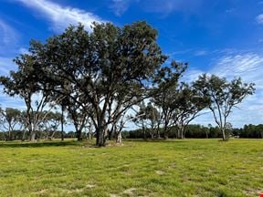 78+/- Acres in Horse Country