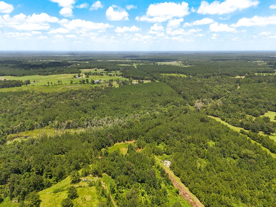 ±63-Acre Development / Recreation Land Opportunity in Franklinton