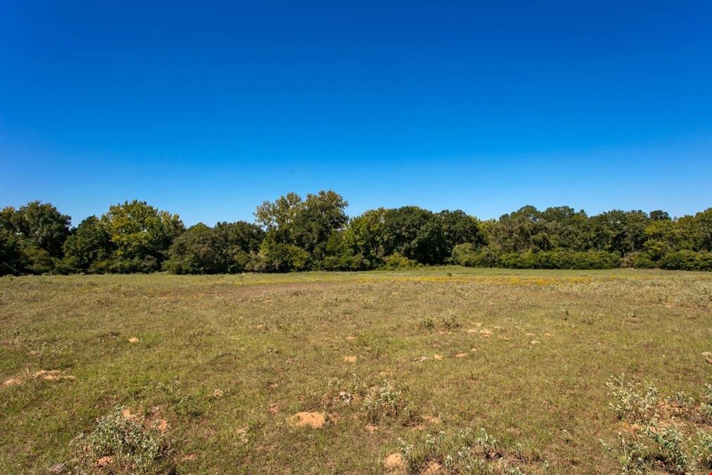 11041 Jack Rabbit Lane