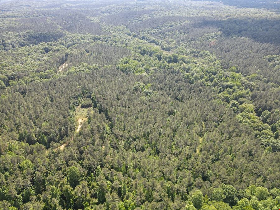 713.08 Acres - Chattahoochee Meadows