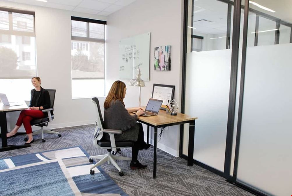 Serendipity Labs - Westport