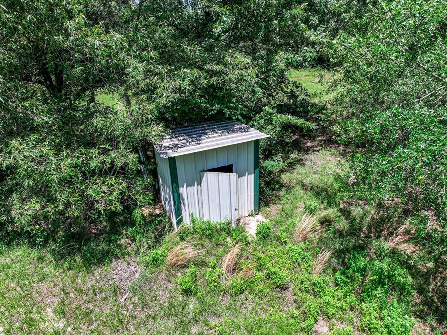 Land for Sale in Wills Point