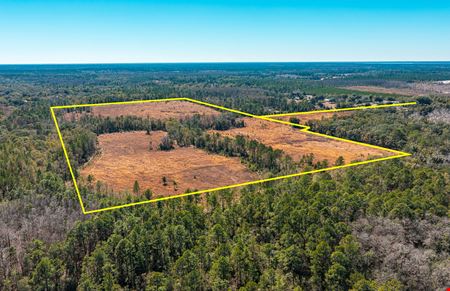 Preview of VacantLand space for Sale at NE County Road 1469