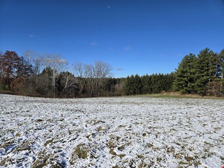 Preview of VacantLand space for Sale at Coon