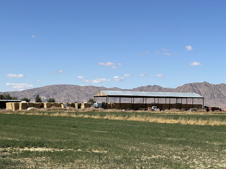 ±239.58 Acres of Adjudicated Agricultural Land | Este Subarea, Lucerne Valley, CA