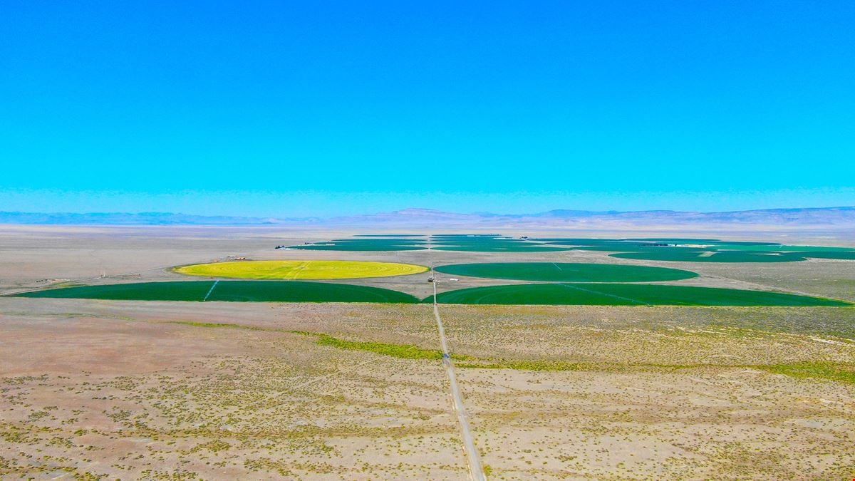 Nye County NV Alfalfa Farm with Pivots, Water Rights