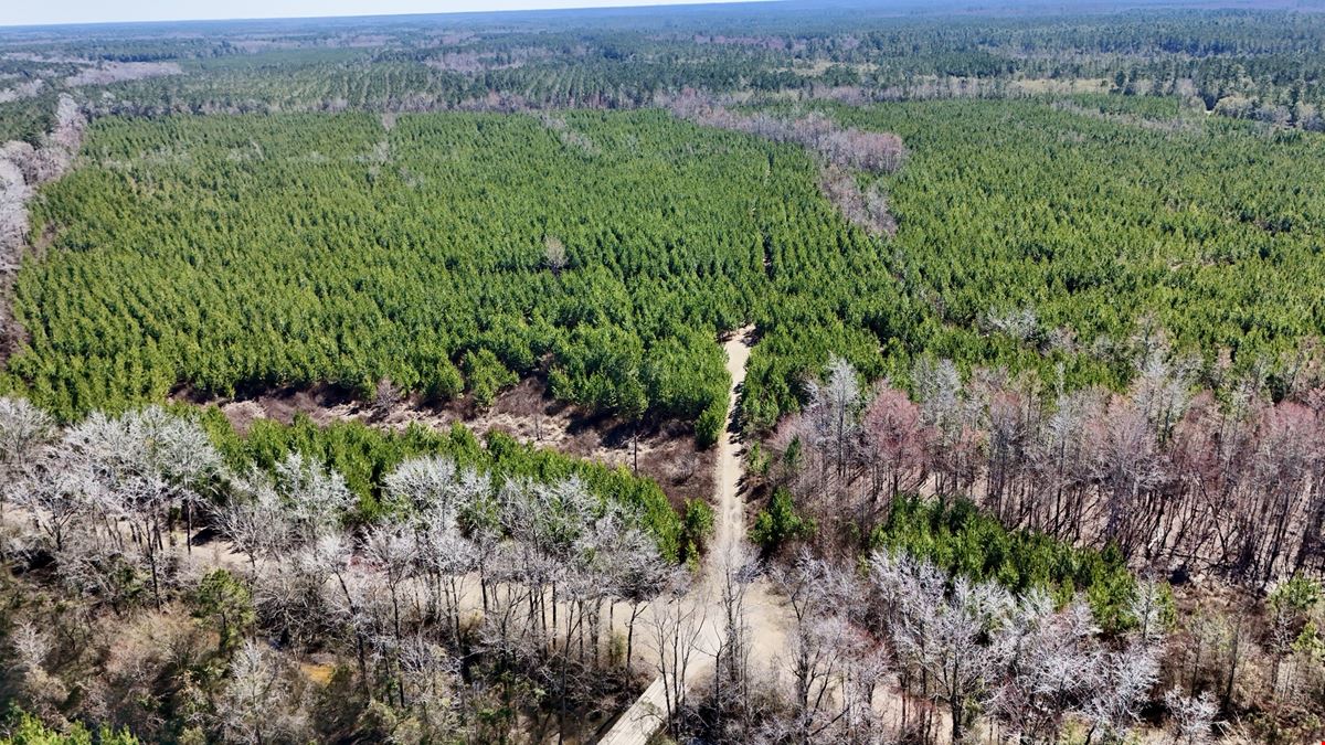 Lewis Timber Tracts