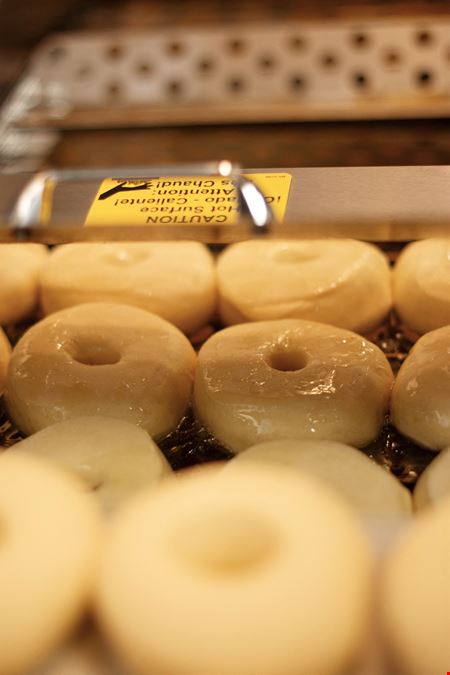 Master Donut Franchise | Multi-Locations