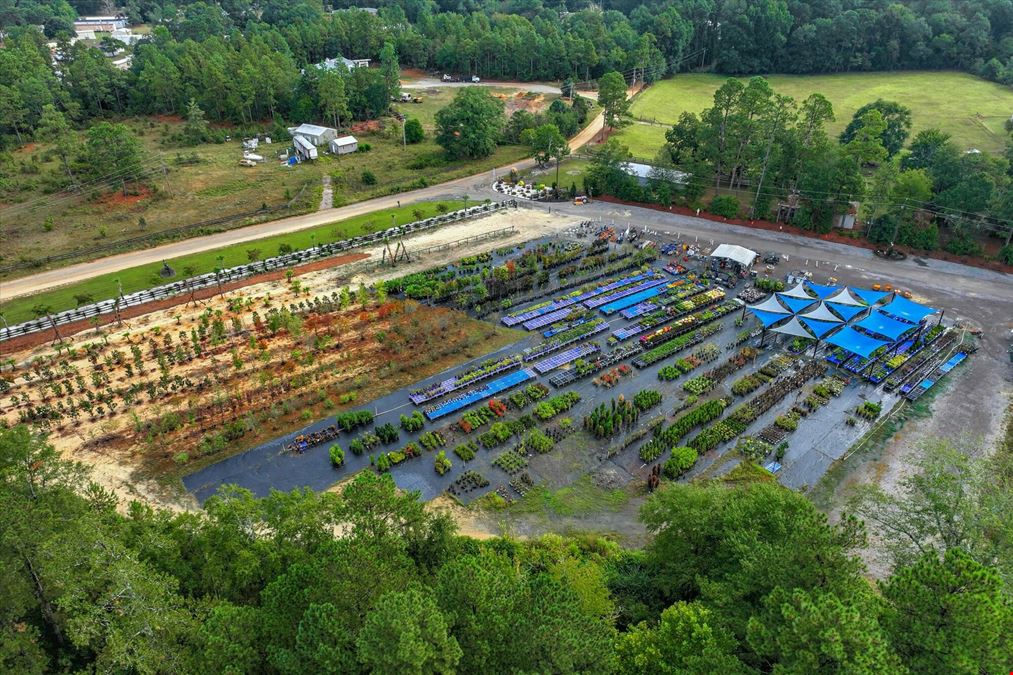 Southern Carolina Palms & More - Nursery & Landscape