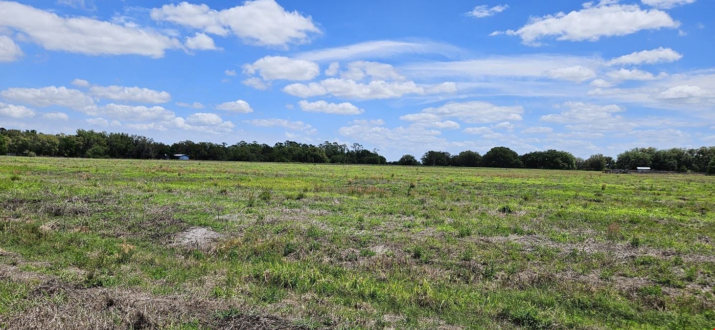 38± Acre Frostproof Grove | Residential Development or Agricultural Opportunity