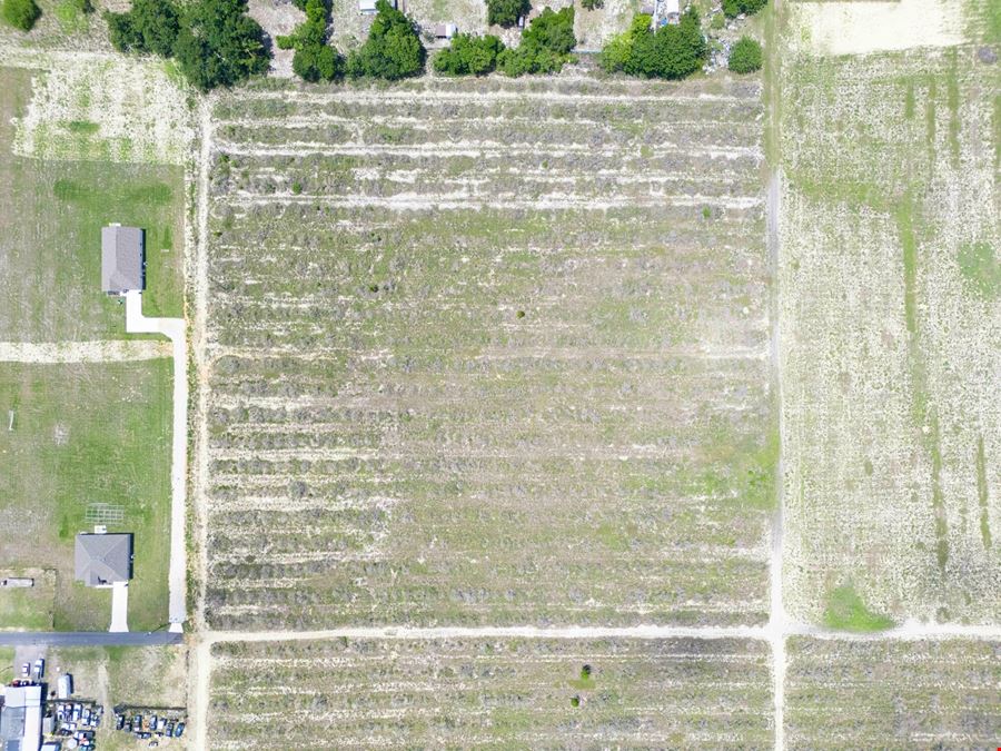 Babson Park Transitional Land