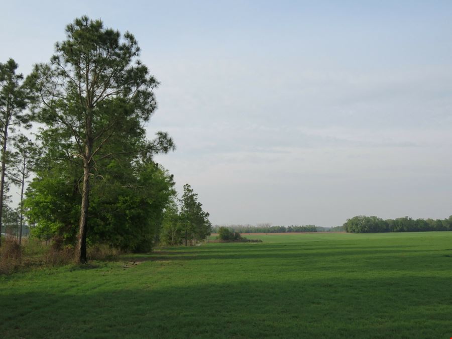 Suwannee County Farm