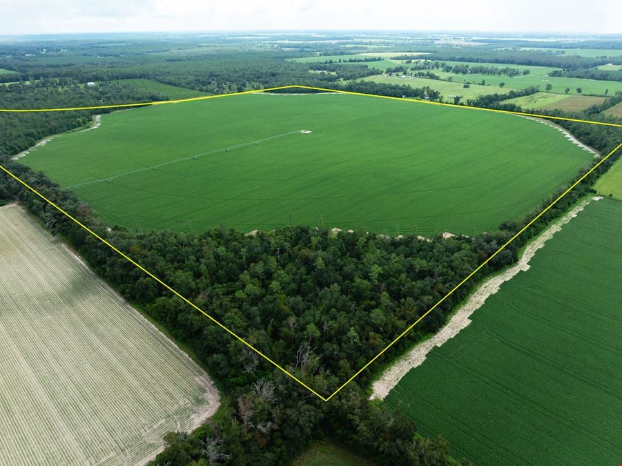 Rollings Farm - Madison County