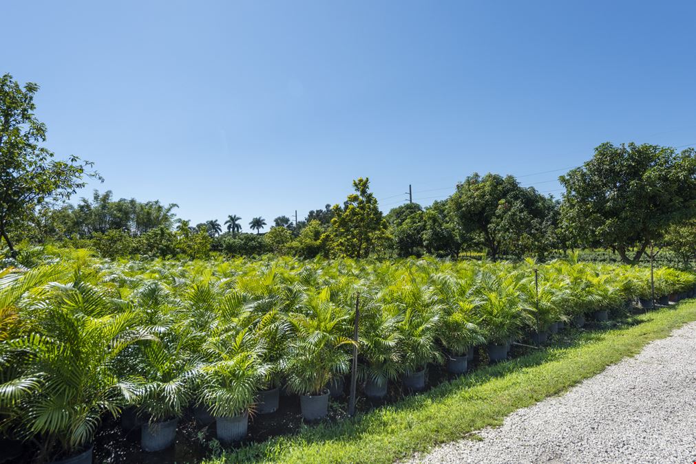 Vacantland For Sale at 5960 SW 190th Ave CommercialSearch