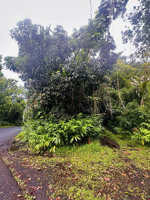 Hana Highway, Hana, HI 96713