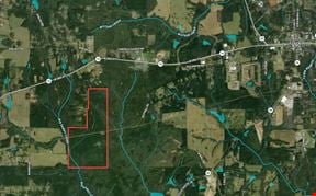 Dub Walker Rd - 314.47 Acres