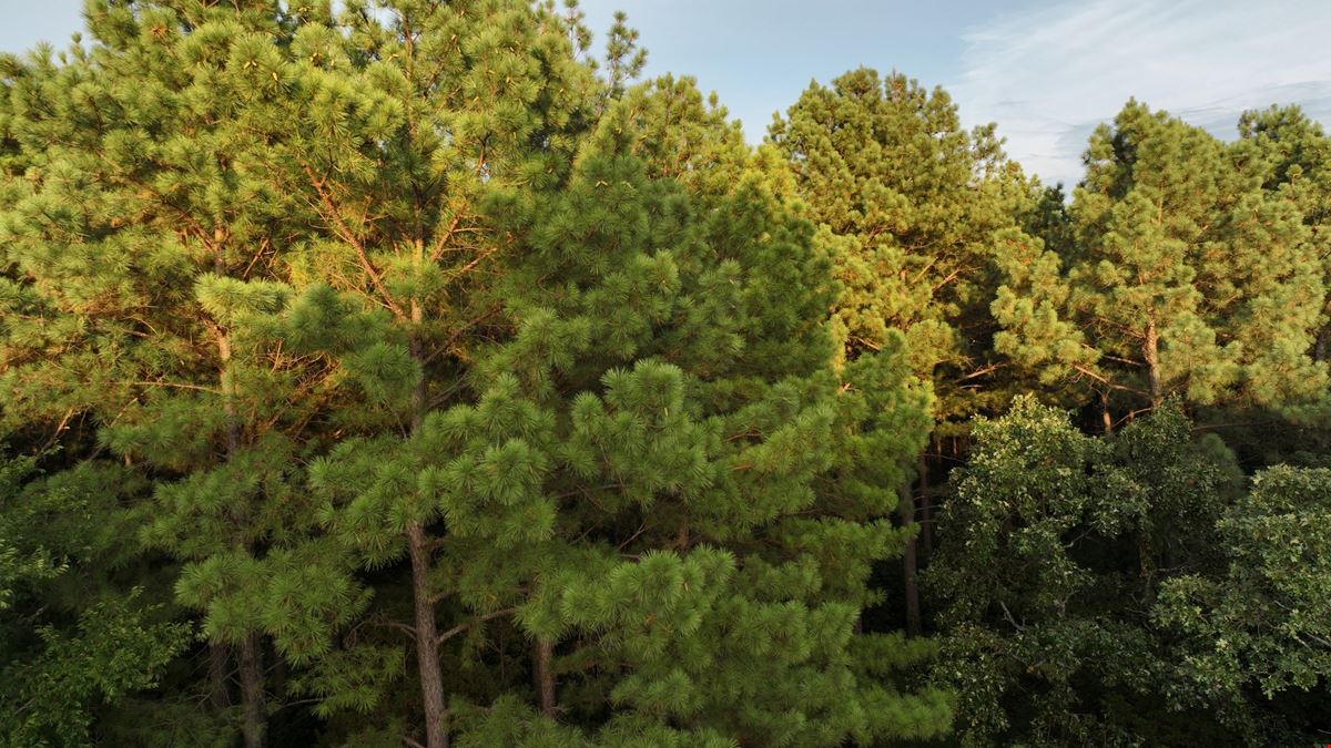 380 Acres in Crawford County Arkansas
